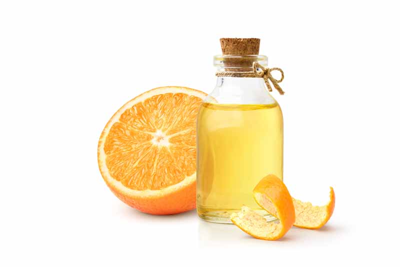 Eterično ulje narandže sa voćem i korom narandže izolovano na beloj pozadini.